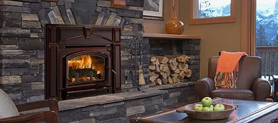 Chimney & Venting